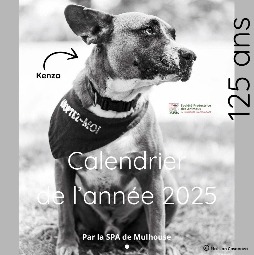 calendrier (1)