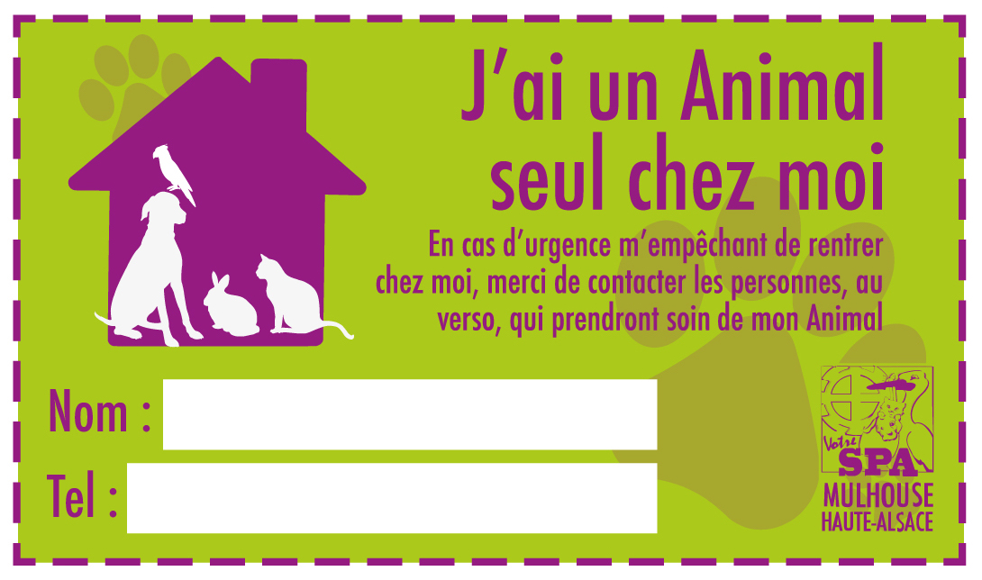 diapoanimalseulchezmoi